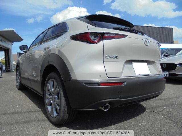 mazda cx-3 2024 CFJ1534286 image 2