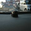 toyota prius 2019 -TOYOTA--Prius DAA-ZVW55--ZVW55-6007038---TOYOTA--Prius DAA-ZVW55--ZVW55-6007038- image 17