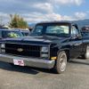 chevrolet c-10 1985 GOO_NET_EXCHANGE_0803229A30220910W003 image 3