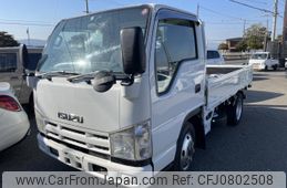 isuzu elf-truck 2007 quick_quick_BKG-NHS85A_NHS85-7000766