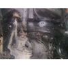 honda vezel 2021 -HONDA--VEZEL 6AA-RV6--RV6-1004654---HONDA--VEZEL 6AA-RV6--RV6-1004654- image 7