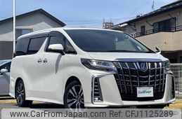 toyota alphard 2019 -TOYOTA--Alphard DBA-AGH30W--AGH30-0282114---TOYOTA--Alphard DBA-AGH30W--AGH30-0282114-