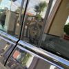 bmw 5-series 2012 CFJ1541267 image 12