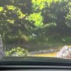 mazda cx-8 2019 CFJ1761123 image 5