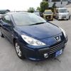 peugeot 307 2005 GOO_JP_700054078630240606001 image 3