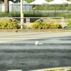 other-imported ランボルギーニ-ウルス 2018 CFJ1712640 image 20