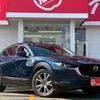 mazda cx-3 2019 CFJ1758391 image 12