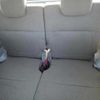 daihatsu tanto 2014 -DAIHATSU--Tanto LA600S-0048528---DAIHATSU--Tanto LA600S-0048528- image 7