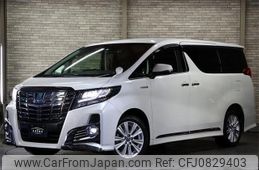 toyota alphard 2016 -TOYOTA 【名変中 】--Alphard AYH30W--0041533---TOYOTA 【名変中 】--Alphard AYH30W--0041533-