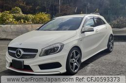 mercedes-benz a-class 2013 quick_quick_DBA-176044_WDD1760442J099339