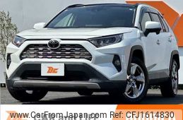toyota rav4 2019 CFJ1614830