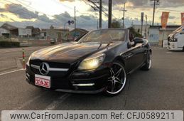 mercedes-benz slk-class 2011 quick_quick_MBA-172457_WDD1724572F013873