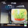 subaru legacy 2023 quick_quick_4BA-BT5_BT5-021457 image 10