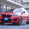 bmw x4 2019 quick_quick_3BA-TS30_WBSUJ02000LC94635 image 20