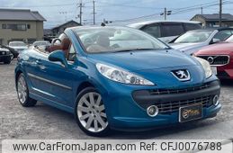 peugeot 207 2007 GOO_JP_700070884830240722007