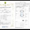 toyota crown 2016 -TOYOTA--Crown AWS211--6007585---TOYOTA--Crown AWS211--6007585- image 16