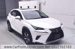 lexus nx 2019 -LEXUS--Lexus NX AYZ15-1013396---LEXUS--Lexus NX AYZ15-1013396-