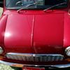 rover mini 1989 CFJ0508848 image 2