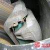 honda s2000 1999 CFJ1803756 image 14
