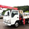 isuzu elf-truck 2007 GOO_NET_EXCHANGE_0403477A30250510W001 image 1