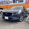 mazda cx-3 2019 quick_quick_DMEP_DMEP-104631 image 12