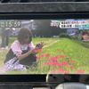daihatsu tanto 2017 CFJ1766436 image 9