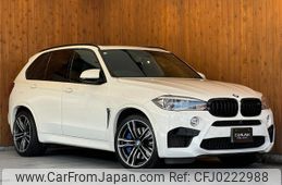 bmw x5 2017 GOO_JP_700055086030240915001