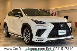 lexus nx 2019 CFJ1517310