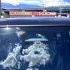 honda n-box 2025 CFJ1788214 image 20
