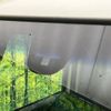 honda n-box-plus 2017 CFJ1732406 image 4
