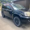nissan x-trail 2004 -NISSAN--X-Trail UA-NT30--NT30-133938---NISSAN--X-Trail UA-NT30--NT30-133938- image 1