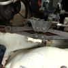 daihatsu hijet-truck 2000 No.15930 image 22