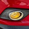 nissan x-trail 2014 103 image 61