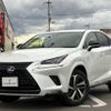 lexus nx 2019 CFJ1848328 image 1