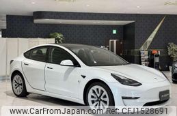 tesla-motors model-3 2021 CFJ1528691