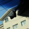 honda cr-v 2019 -HONDA 【広島 339ﾑ1004】--CR-V RW1--1100070---HONDA 【広島 339ﾑ1004】--CR-V RW1--1100070- image 22