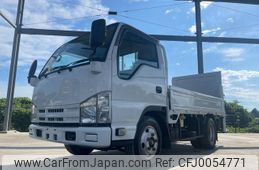 isuzu elf-truck 2009 GOO_NET_EXCHANGE_0401987A30240729W002