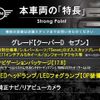 mini mini-others 2017 CFJ1755372 image 3