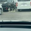 lexus rx 2019 168 image 57