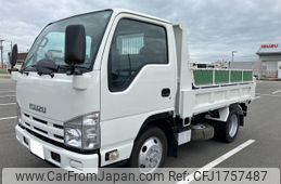 isuzu elf-truck 2011 CFJ1757487