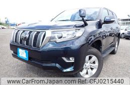 toyota land-cruiser-prado 2019 REALMOTOR_N2024090090F-10