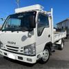 isuzu elf-truck 2019 GOO_NET_EXCHANGE_0403648A30241110W001 image 1