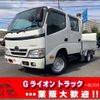 toyota dyna-truck 2016 GOO_NET_EXCHANGE_0730189A30241106W003 image 1