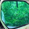 toyota prius-phv 2017 -TOYOTA--Prius PHV DLA-ZVW52--ZVW52-3047939---TOYOTA--Prius PHV DLA-ZVW52--ZVW52-3047939- image 5