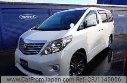 toyota alphard 2009 quick_quick_DBA-ANH20W_ANH20-8038551