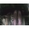 honda civic 1993 CFJ1561930 image 12