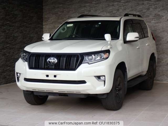toyota land-cruiser-prado 2019 CFJ1830375 image 1
