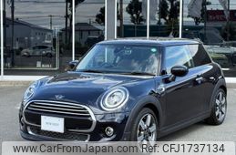 mini mini-others 2020 CFJ1737134