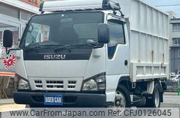 isuzu elf-truck 2006 GOO_NET_EXCHANGE_0900318A30240727W001