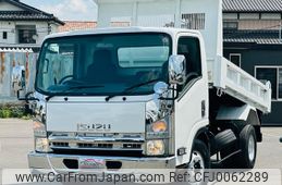 isuzu elf-truck 2007 GOO_NET_EXCHANGE_0404044A30240731W001